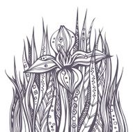 Abstract floral doodle