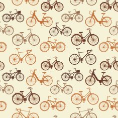 Vintage Bicycles N6