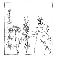 Floral composition N10
