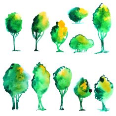 Watercolor Tree Set N2