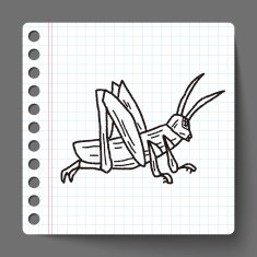 grasshopper doodle N14