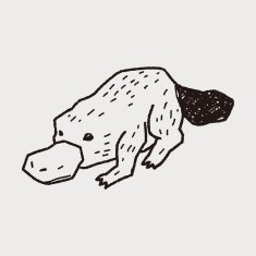 platypu doodle N6