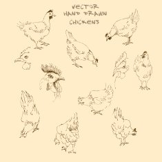 Vector Illustration with chickens