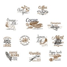 caffee chalckVector set of Dessert Spices labels and design elements