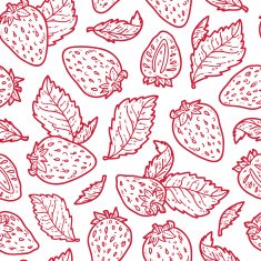 cute strawberry pattern N2