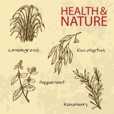 Handdrawn Illustration - Health and Nature Set N39