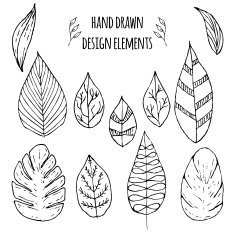 Set of hand drawn design elements Vector illustration N3