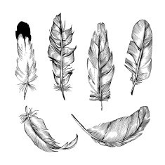 Feather set N7