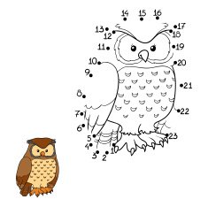 Numbers game (owl bird) free image download