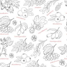 Seamless pattern with forest berries on white background