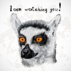 Lemur poster with orange eyes I am watching you sign