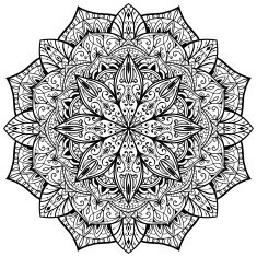 vector ornate mandala on a white background