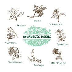 Ayurvedic herbs collection