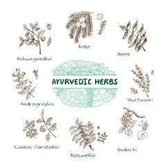 Ayurvedic herbs collection N2 free image download