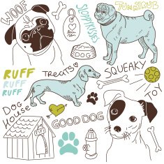 Cartoon doodles of various dog breeds and words
