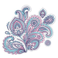 Beautiful Indian paisley ornament N6