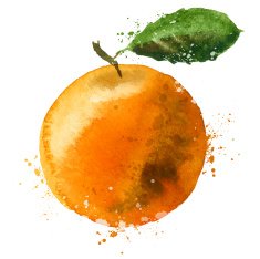 Orange vector logo design template fruit or food icon