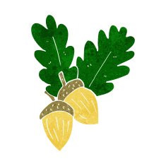 cartoon acorns N10