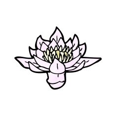 waterlily cartoon N4