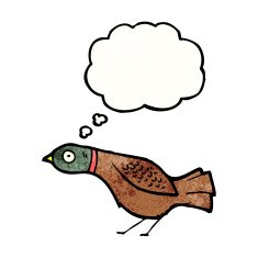 cartoon grouse N6