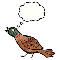 cartoon partridge N3