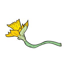 cartoon daffodil flower N14