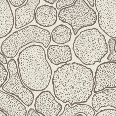 Seamless texture with flowers Endless floral pattern N102