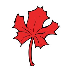 cartoon red maple leaf N8