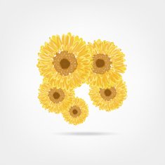 Sunflowers sketch for your design