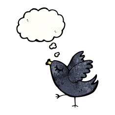 cartoon bird with thought bubble N456