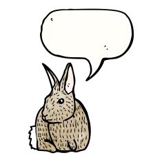 rabbit illustration N8