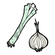 leek and onion cartoon N2
