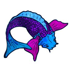 koi carp tattoo illustration N24
