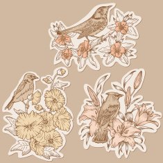 Doodle Birds And Flowers