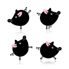 Cute piggy for your design N5