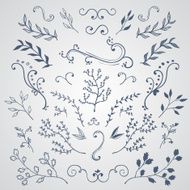 Hand Drawn Floral Design Elements N10