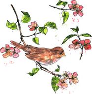 bird at branch with blossoms