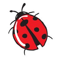 Ladybug N5