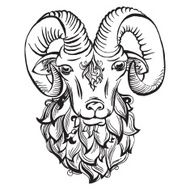 Hand drawn doodle ram