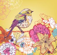Summer bird N2