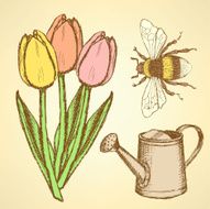 Sketch tulip bee and watering can