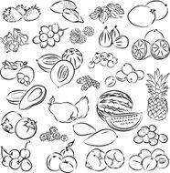 Fruits N8