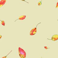 autumn leaf background N21