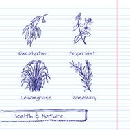 Handdrawn Illustration - Health and Nature Set N44