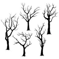Tree Silhouettes- Illustration