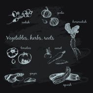 Vegetables herb and roots N13