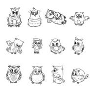 Set of owl N3