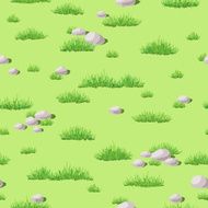 Grass and stones