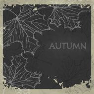 Hand Drawn Autumn Background N20