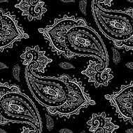 Seamless Paisley pattern N12